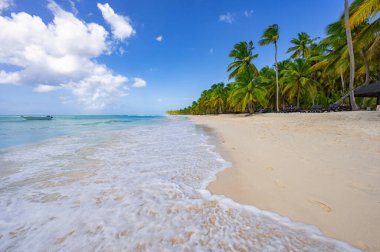 sihirli yer Cennet plaj Karayip Denizi resort Dominik Cumhuriyeti