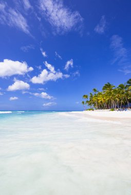 sihirli yer Cennet plaj Karayip Denizi resort Dominik Cumhuriyeti