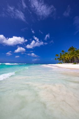 sihirli yer Cennet plaj Karayip Denizi resort Dominik Cumhuriyeti