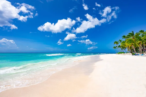 神奇之地天堂海滩加勒比海度假村多米尼加共和国 免版税图库照片