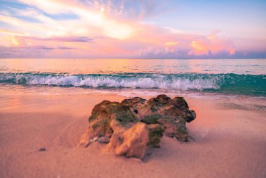 sihirli yer Cennet plaj Karayip Denizi resort Dominik Cumhuriyeti