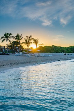 Sahil kıyısı Karayip sakin suyu Palmiye ağacı Dominik manzaralı