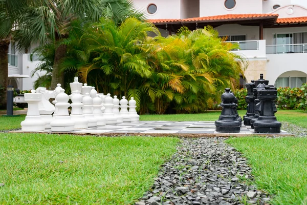 Tropical Garden Large Chess Set Everyone Play — Stock Photo, Image