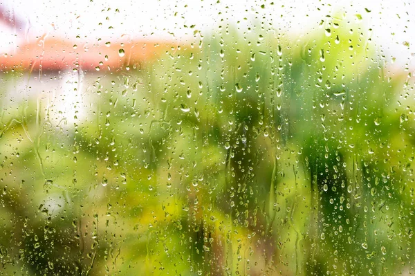 Tropical Rainstorm Wet Glass Palm Trees Background — Stockfoto