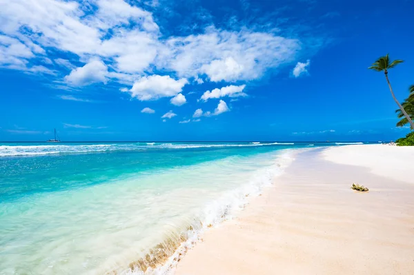 Lugar Mágico Paraíso Playa Caribe Mar Resort República Dominicana — Foto de Stock