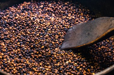 Geleneksel şekilde kahve çekirdeklerini kavurarak pişirme hazırlığı.