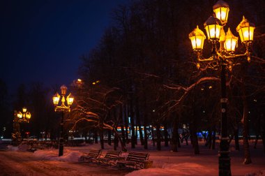 şeritli yol aydınlatma fener ağaçlar karla kaplı Kış gecesi