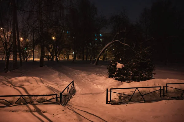 Lâmpada Brilhante Pólo Inverno Contexto Uma Árvore Coberta Uma Camada — Fotografia de Stock