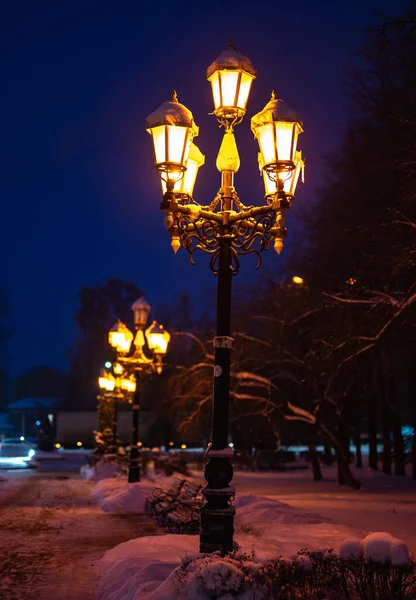 Bagliore Lampada Sul Palo Inverno Uno Sfondo Albero Coperto Uno — Foto Stock