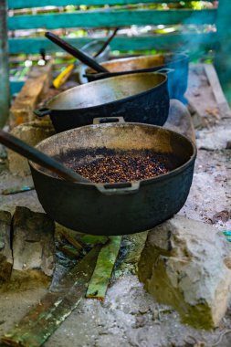 Geleneksel şekilde kahve çekirdeklerini kavurarak pişirme hazırlığı.