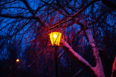 kış geceleri kar tabakası ile kaplı bir ağaç arka plan üzerinde kutup lamba parlayan