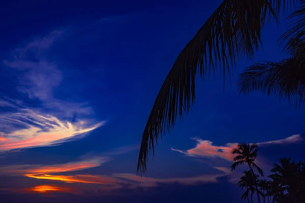 Beautiful Calm Color Sunset Caribbean Fine Weather — Stock Photo, Image