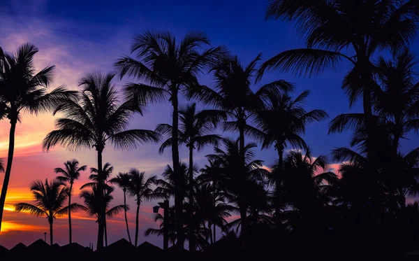 Hermoso Color Tranquilo Puesta Sol Del Caribe Buen Tiempo Fotos de stock libres de derechos