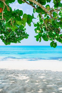 Dominik Cumhuriyeti 'ndeki güzel bir gökyüzünün arkaplanına karşı mavi manzara sakin Karayip denizi