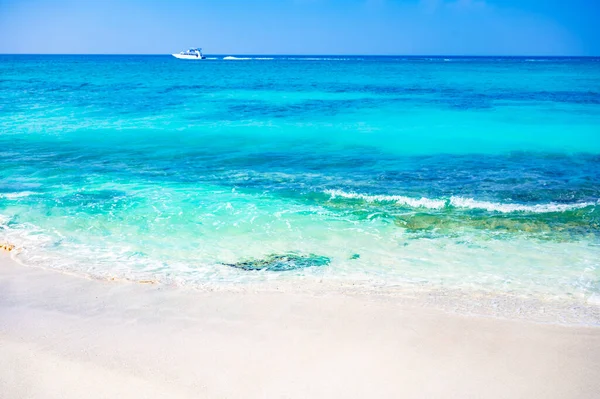 Волшебное Место Райский Пляж Карибский Морской Курорт Доминиканская Республика — стоковое фото