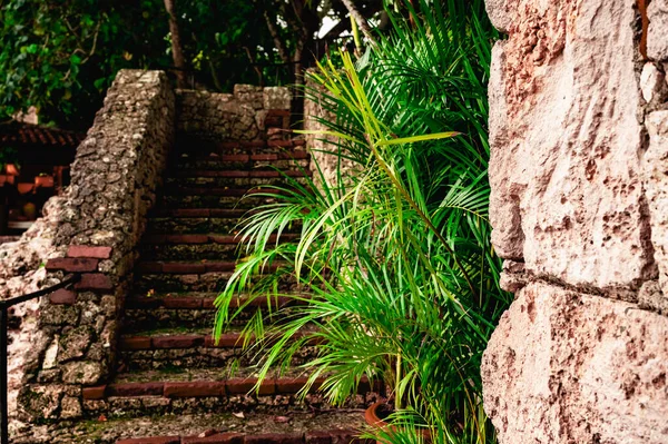 Altos Chavon Hermoso Pueblo Europeo Estilo Mediterráneo Romana República Dominicana —  Fotos de Stock