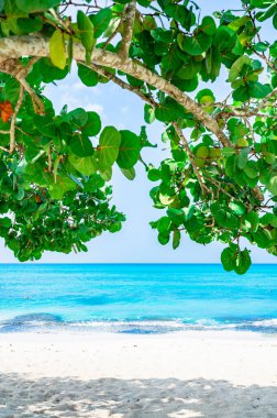 Dominik Cumhuriyeti 'ndeki güzel bir gökyüzünün arkaplanına karşı mavi manzara sakin Karayip denizi