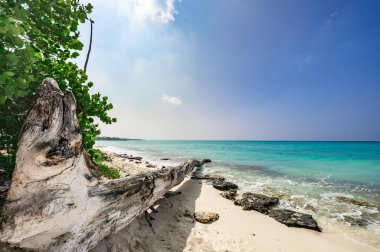 Dominik Cumhuriyeti 'ndeki güzel bir gökyüzünün arkaplanına karşı mavi manzara sakin Karayip denizi