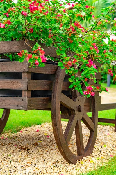 Chariot Décoratif Bois Avec Des Fleurs Dans Jardin Sur Pelouse — Photo