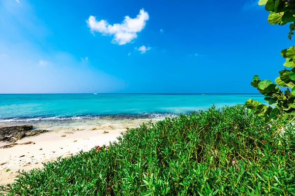 Landschap Blauw Rustige Caribische Zee Tegen Achtergrond Van Een Prachtige — Stockfoto