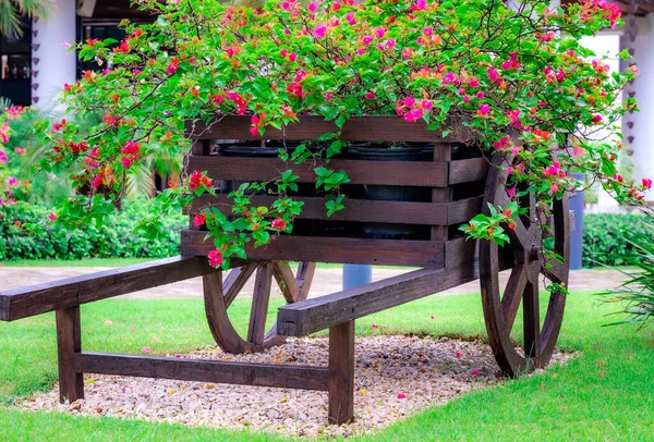 Chariot Décoratif Bois Avec Des Fleurs Dans Jardin Sur Pelouse — Photo