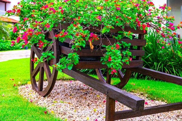 Carro Madera Decorativo Con Flores Jardín Césped —  Fotos de Stock