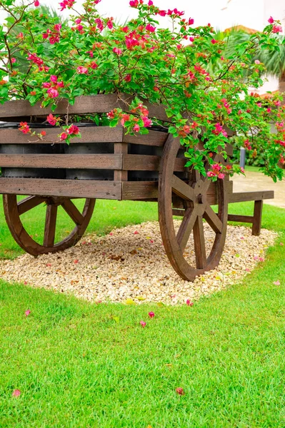Dekorativer Holzwagen Mit Blumen Garten Auf Dem Rasen — Stockfoto