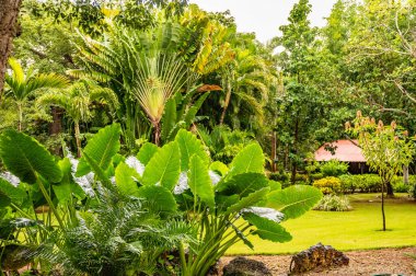 Tropik orman köyü Altos de Chavon 'un sokaklarında klasik fenerler.