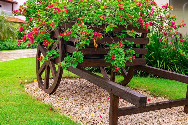 Chariot Décoratif Bois Avec Des Fleurs Dans Jardin Sur Pelouse — Photo