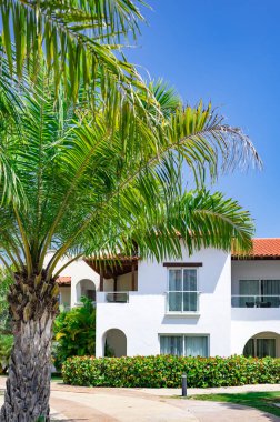 Dominik Cumhuriyeti 'ndeki tropik palmiyelerin yeşil yapraklarıyla otelin kırmızı kiremitleri.