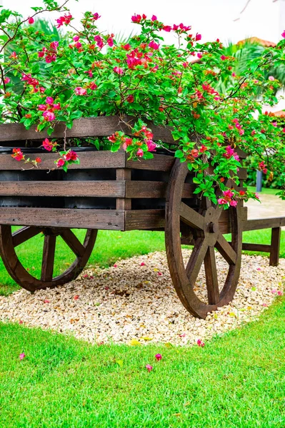 花园里草坪上装饰着鲜花的木制购物车 — 图库照片