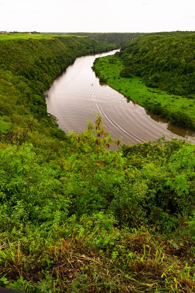 Tropikal Orman Yüksek Kıyılı Dominik Cumhuriyeti Arasında Sakin Nehir Sembolü — Stok fotoğraf