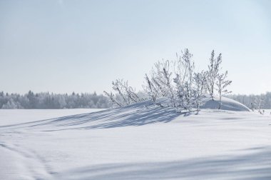 manzara karlı shore ile hala gölet değil