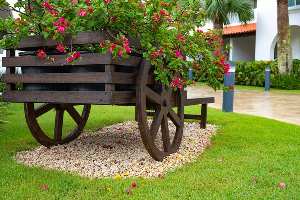 Dekorativní Dřevěný Vozík Květinami Zahradě Trávníku — Stock fotografie