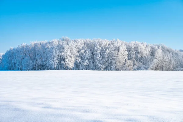 風景は雪に覆われた海岸でまだ池ではありません — ストック写真