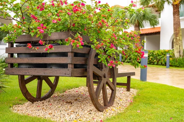 Chariot Décoratif Bois Avec Des Fleurs Dans Jardin Sur Pelouse — Photo