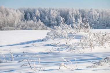 manzara karlı shore ile hala gölet değil