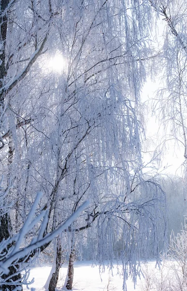 Landschaft Ist Noch Kein Teich Mit Verschneitem Ufer — Stockfoto