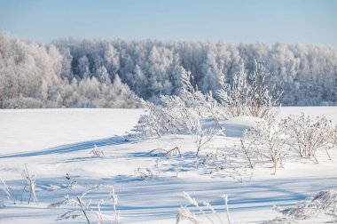 manzara karlı shore ile hala gölet değil