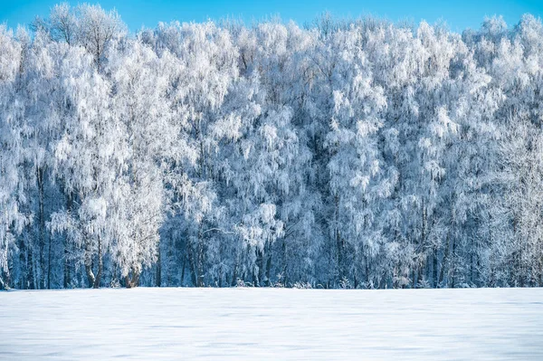 Paisaje Todavía Estanque Con Orilla Nevada — Foto de Stock