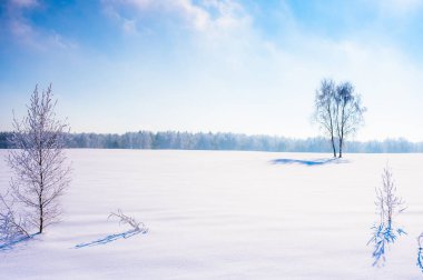 manzara karlı shore ile hala gölet değil