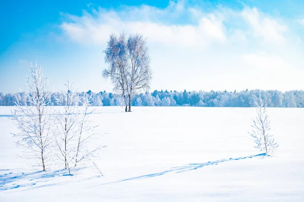 Paesaggio Non Ancora Stagno Con Sponda Innevata — Foto Stock