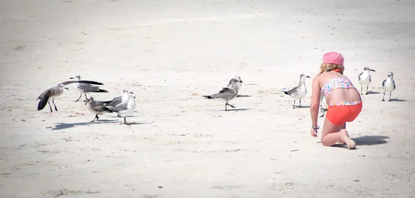 Nourrir les oiseaux Images De Stock Libres De Droits