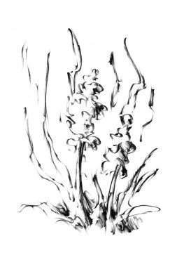 renk Tasarım sanat resim