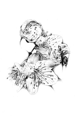 çiçek doğal bitki sanat tasarım