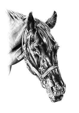 serbest el at baş karakalem