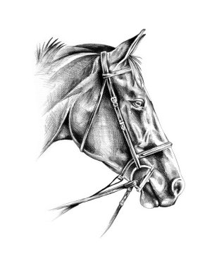 serbest el at baş karakalem