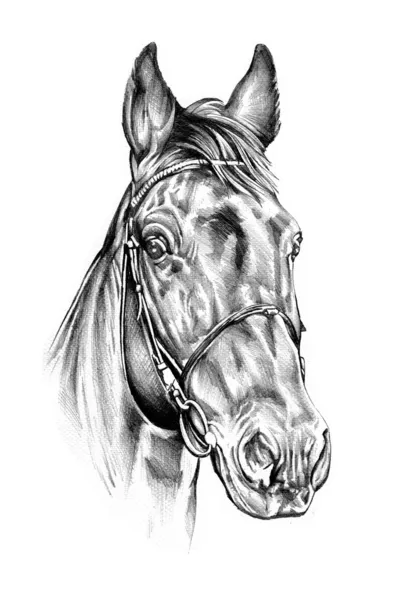 serbest el at baş karakalem