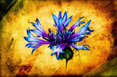 antika çiçek sanat el yapımı resim