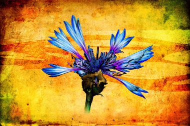 antika çiçek sanat el yapımı resim